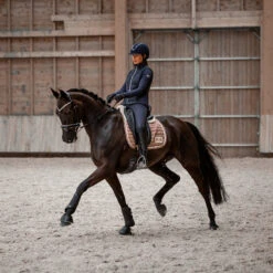 B Vertigo Thermo Leder Reithandschuhe -Reiter's Paradies 31584 BL 7