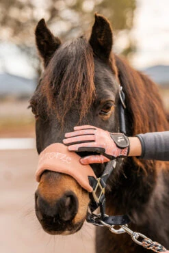 Horze Rainbow Kinder Sommerreithandschuhe -Reiter's Paradies 31743 333 07