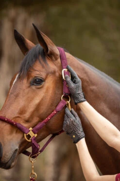 Horze Elenor Damen Mesh Reithandschuhe -Reiter's Paradies 31748 753 07