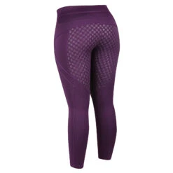 Dublin Performance Thermo Active Reitleggings Für Damen -Reiter's Paradies 327615 PRE 2