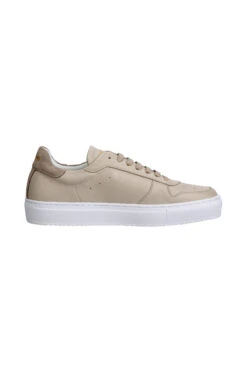 Suedwind Footwear Copenhagen Leder Sneaker 36 Suedwind Footwear Copenhagen Leder Sneaker -Reiter's Paradies 343587 SG 2