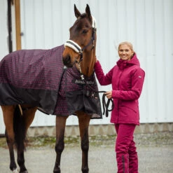 B Vertigo Dana Winterreithose Für Damen -Reiter's Paradies 36058 BTRE 6