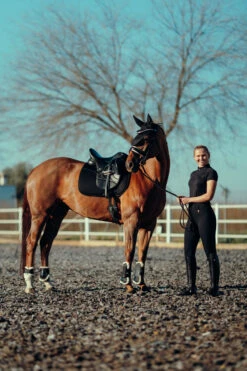 Horze Mila Vollbesatzreithose Für Damen Mit Hohem Bund -Reiter's Paradies 36698 BL 8